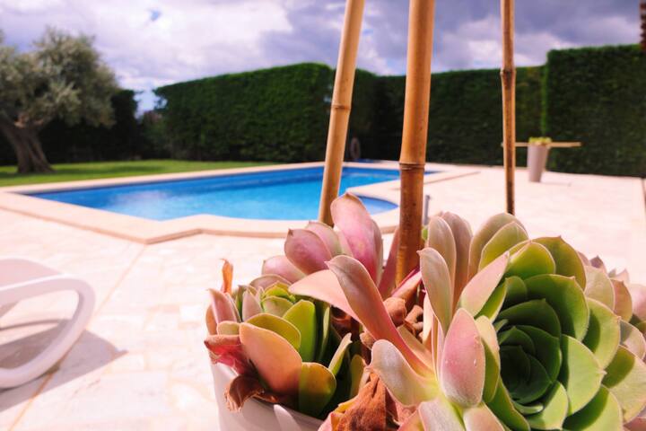 New! Premium Finca, Cala d´Or, with Starlightpool! gallery image 2