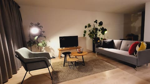Successful Airbnb property: Cozy & Comfortable City App. in Rotterdam Centrum