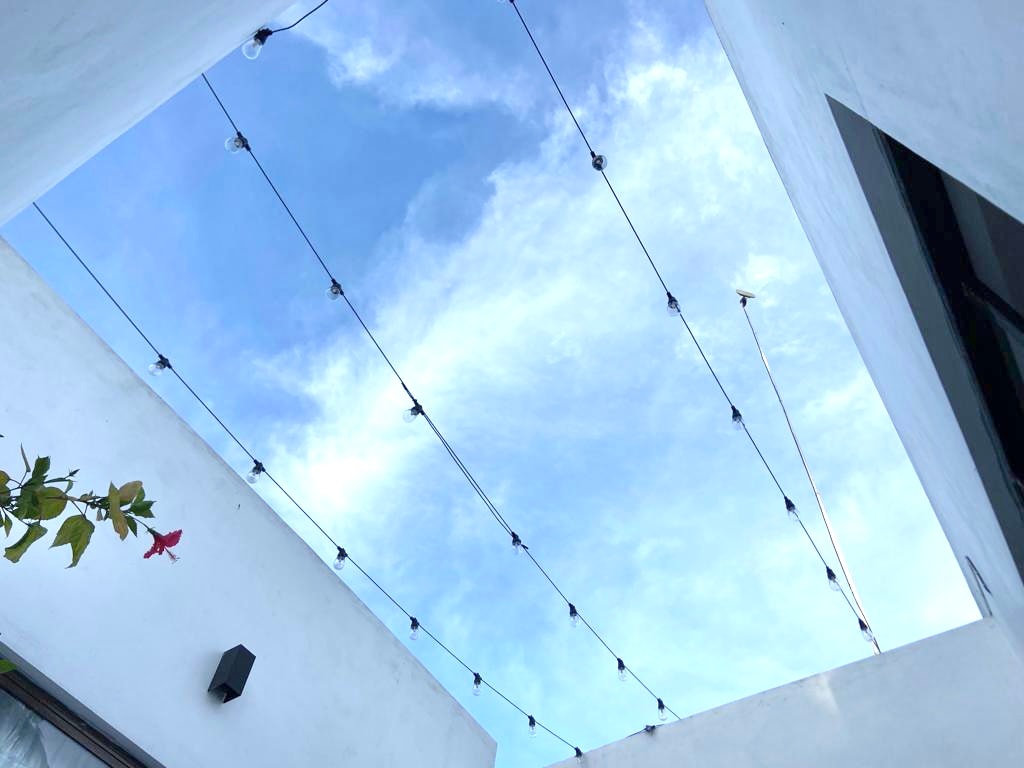 A clear blue sky stretches overhead, framed by white walls and illuminated by string lights. The scene captures a serene outdoor space, with soft natural light filtering through. A vibrant flower branch can be seen extending into the view from one side.