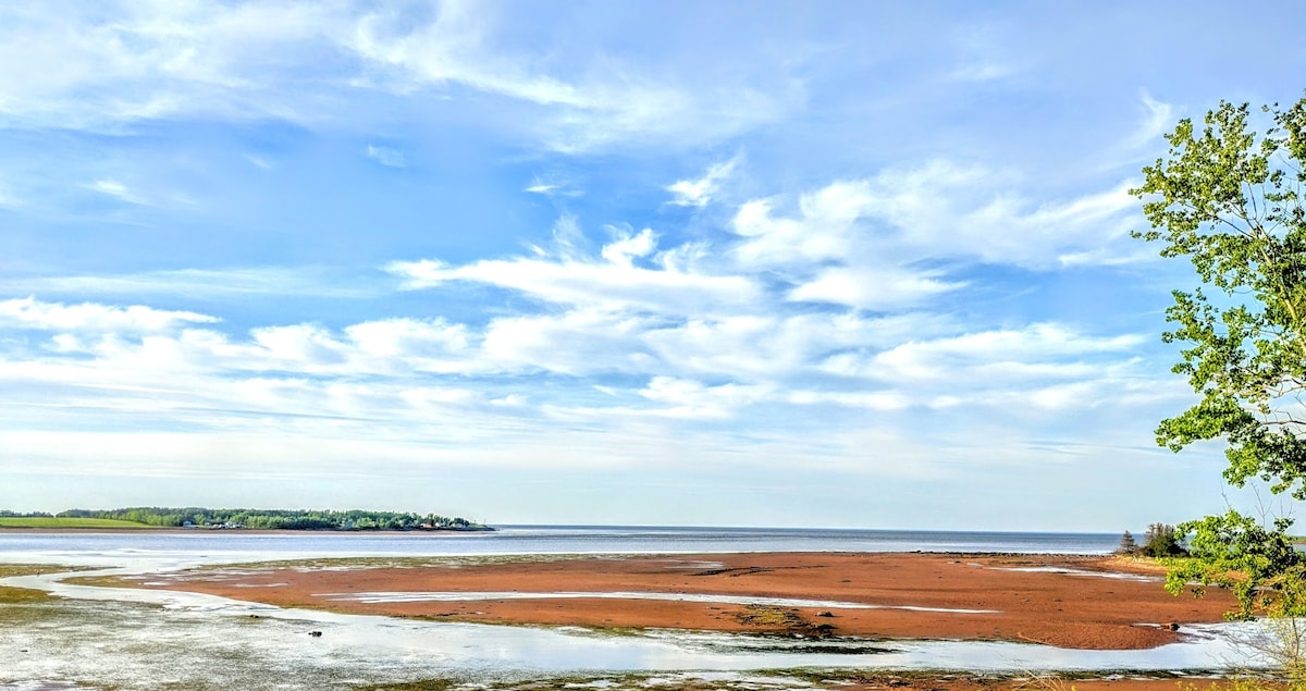A serene view of the coastline is captured, showcasing a sandy shoreline under a bright blue sky with scattered clouds. The calm waters of the Northumberland Straight reflect the sky, while the landscape features patches of green and areas of wet sand.