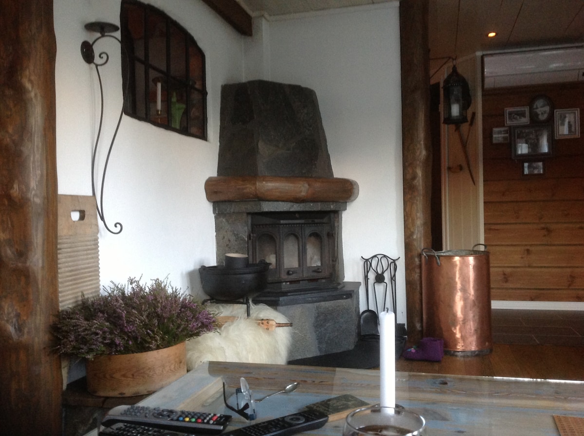 A stone fireplace is featured prominently against a decorative wall. A small plant rests beside the fireplace, and a candle stands on a table in the foreground. The surrounding walls include wood accents, with a glimpse of a rustic entrance in the background.