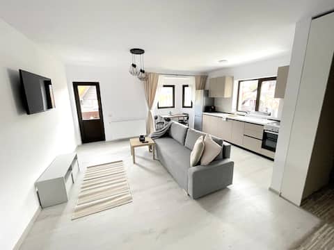 Top performing Airbnb: Cosy & Minimalistic Apartment near Peles Castle in Sinaia