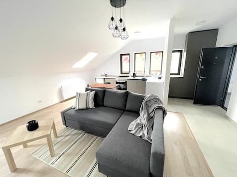 Successful Airbnb property: Cosy & Minimalistic Apartment near Peles Castle in Sinaia
