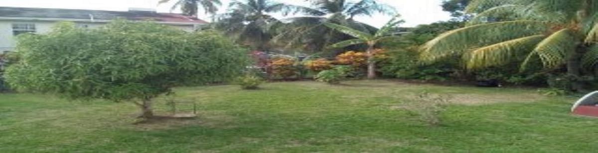 A well-maintained outdoor space features a lush green lawn with a variety of plants and trees. A palm tree and flowering shrubs create a vibrant setting. The area is enclosed by a low fence, providing a sense of privacy and tranquility.