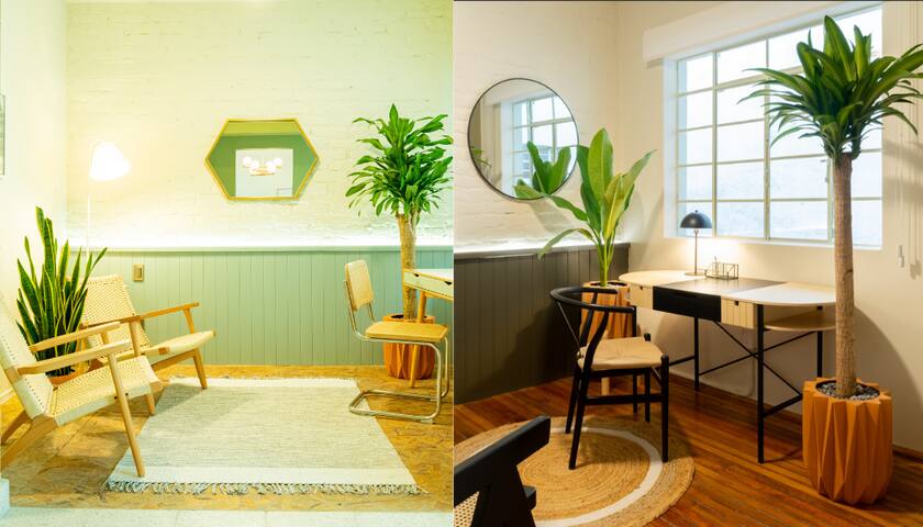 2BR apartments in Condesa, near Park