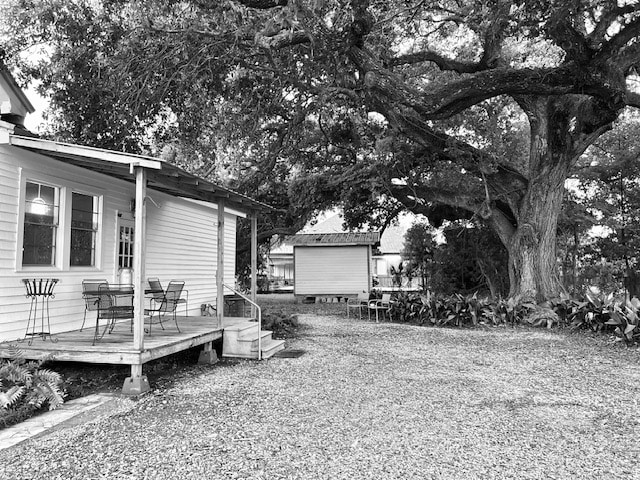 A charming exterior view of the historic home is presented, showcasing a spacious porch with seating for four. A large, mature Live Oak Tree provides shade over the gravel pathway that leads to a separate structure, surrounded by lush greenery.