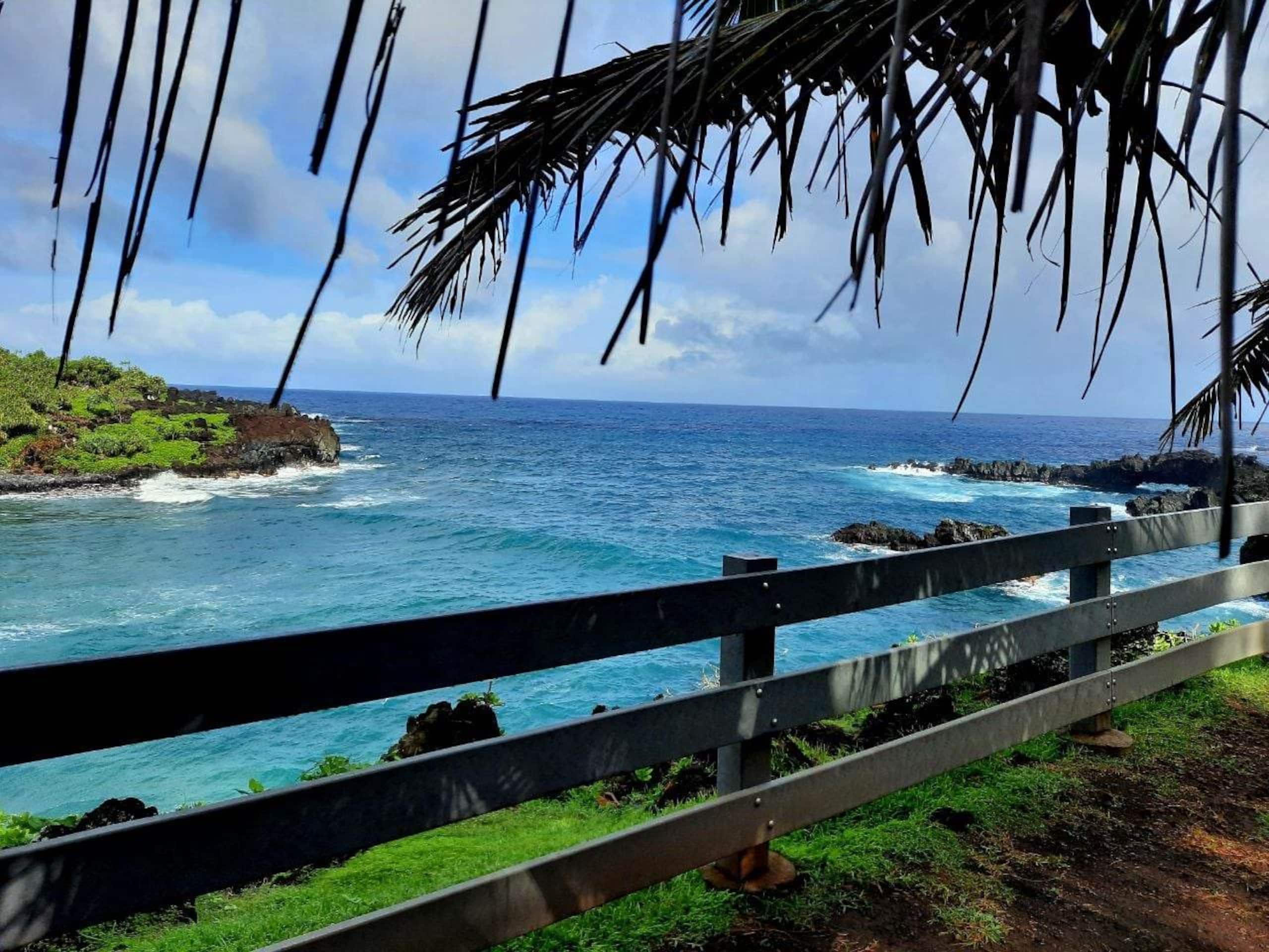 Kamaole Sands condo with ocean view. Split AC - Image 39