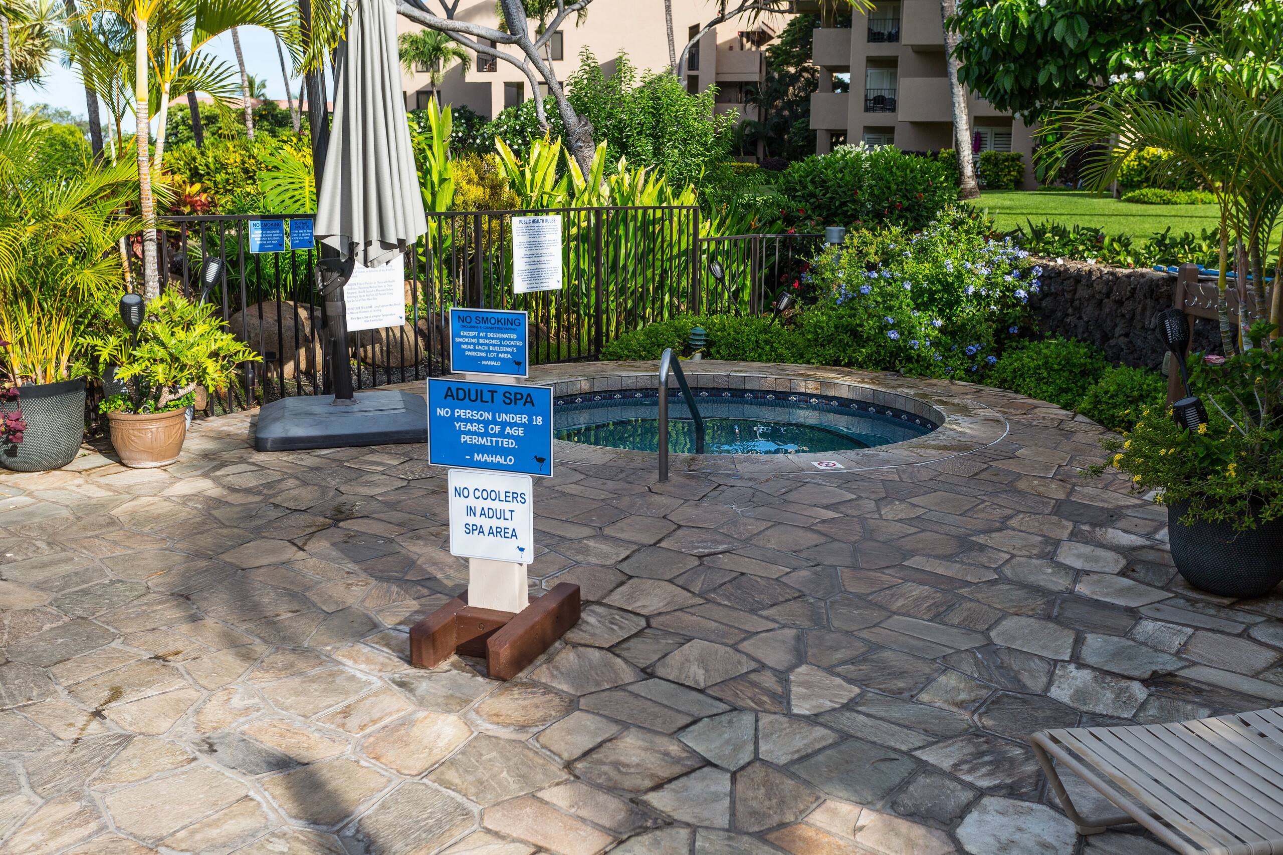 Kamaole Sands condo with ocean view. Split AC - Image 36