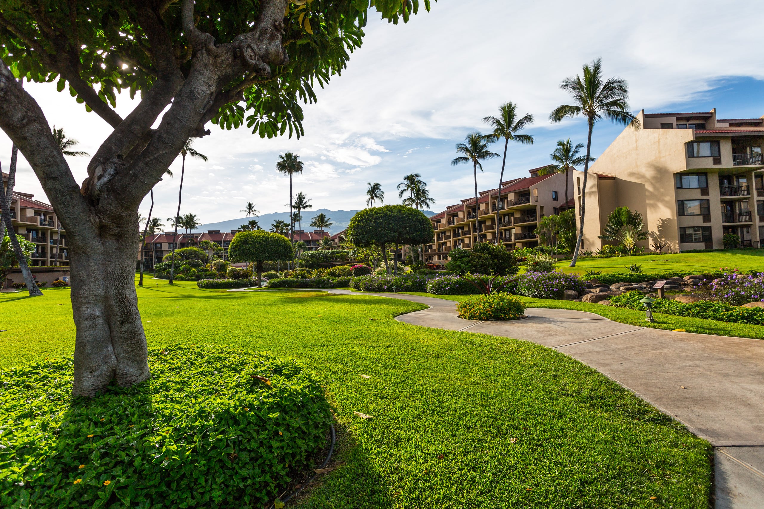 Kamaole Sands condo with ocean view. Split AC - Image 32