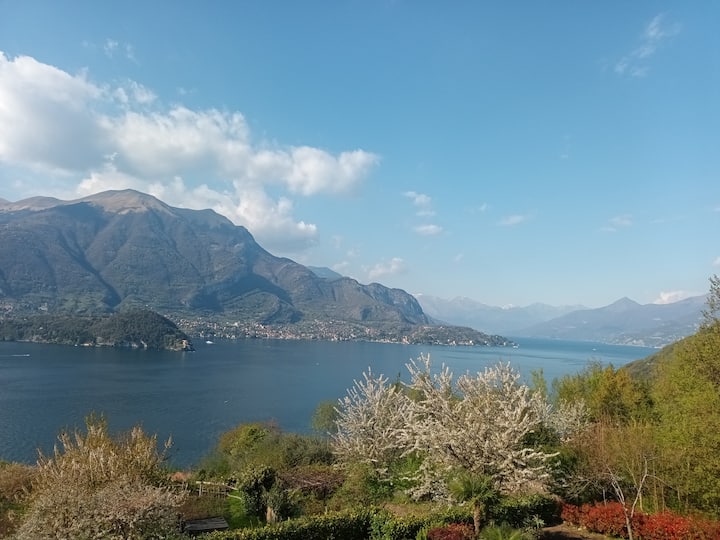 La Casetta Tiny House Tiny houses for Rent in Lezzeno, Lombardia