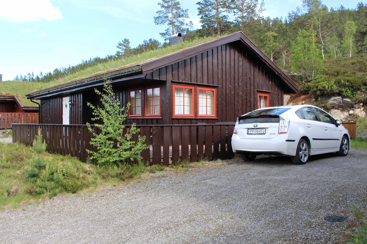 A wooden cabin features a traditional design with dark exterior walls and red window frames. A car is parked beside the cabin on a gravel driveway. Lush greenery surrounds the property, enhancing the natural setting.