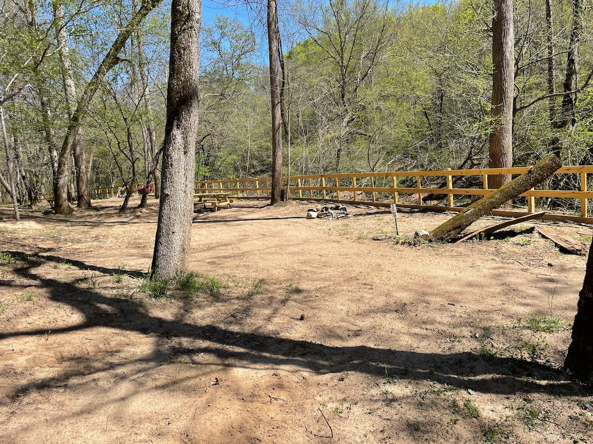 A sandy area features natural earth tones and is surrounded by tall trees, providing ample shade. A wooden fence lines the background, creating a sense of enclosure. Random logs and branches are seen on the ground, contributing to the rustic outdoor atmosphere.