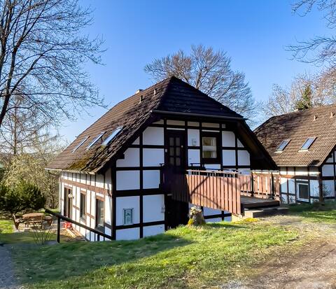 The cottage by the basement forest