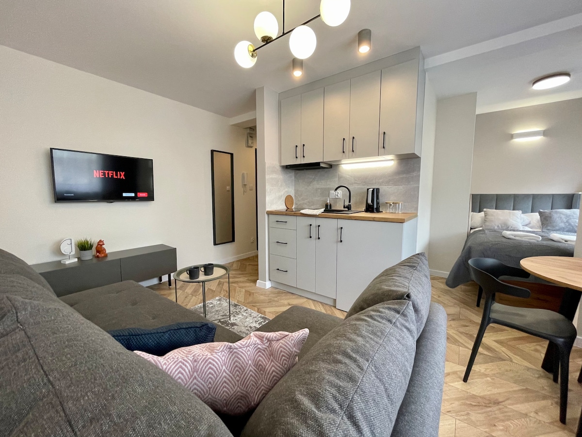 An open living space features a comfortable grey sofa, a coffee table, and a wall-mounted television displaying a streaming service. Adjacent, a compact kitchen area includes modern cabinetry, countertop appliances, and a dining table with four chairs. A spacious bedroom is visible in the background.
