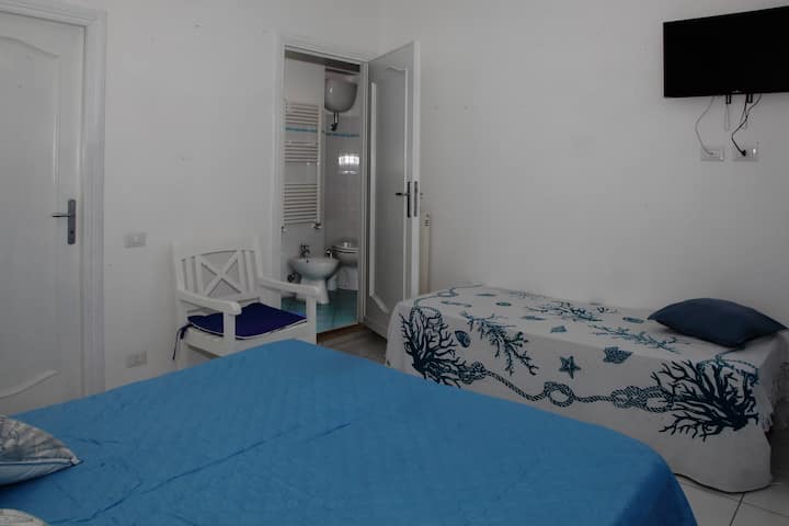 Habitación 1