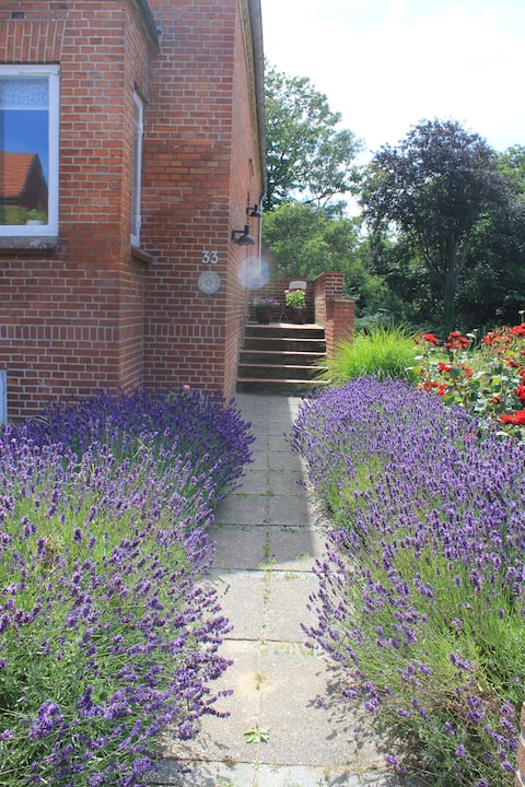 Home close to centre and nature