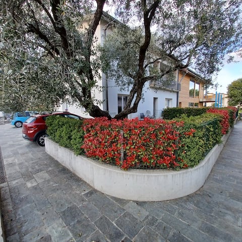 Casa ciliegi 3