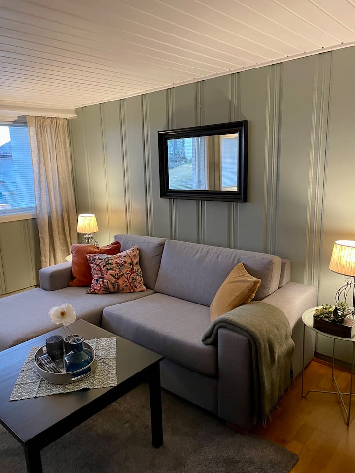 Socket apartment, short train ride from Oslo Apartments for Rent in