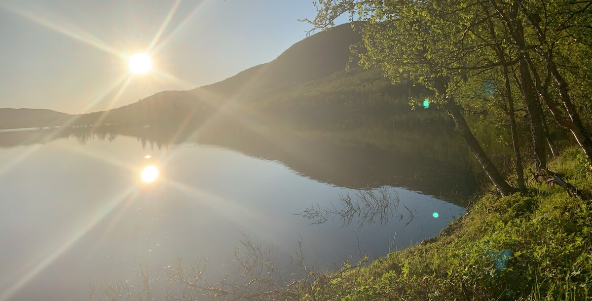A serene lakeside view captures the sun reflecting on calm waters, surrounded by lush greenery and gentle hills. Sunlight filters through tree branches, creating a peaceful ambiance. The stillness of the setting suggests a tranquil retreat in nature.