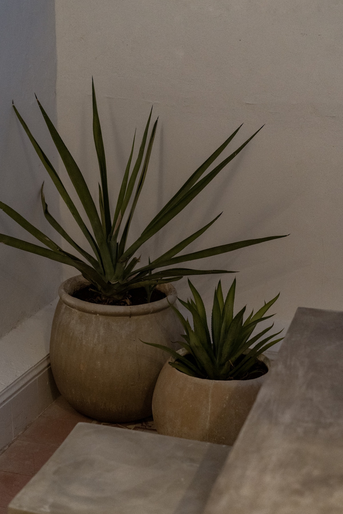 Narrativ Lofts Lira, Calle 59 Campeche — Casonas MX — photo 10