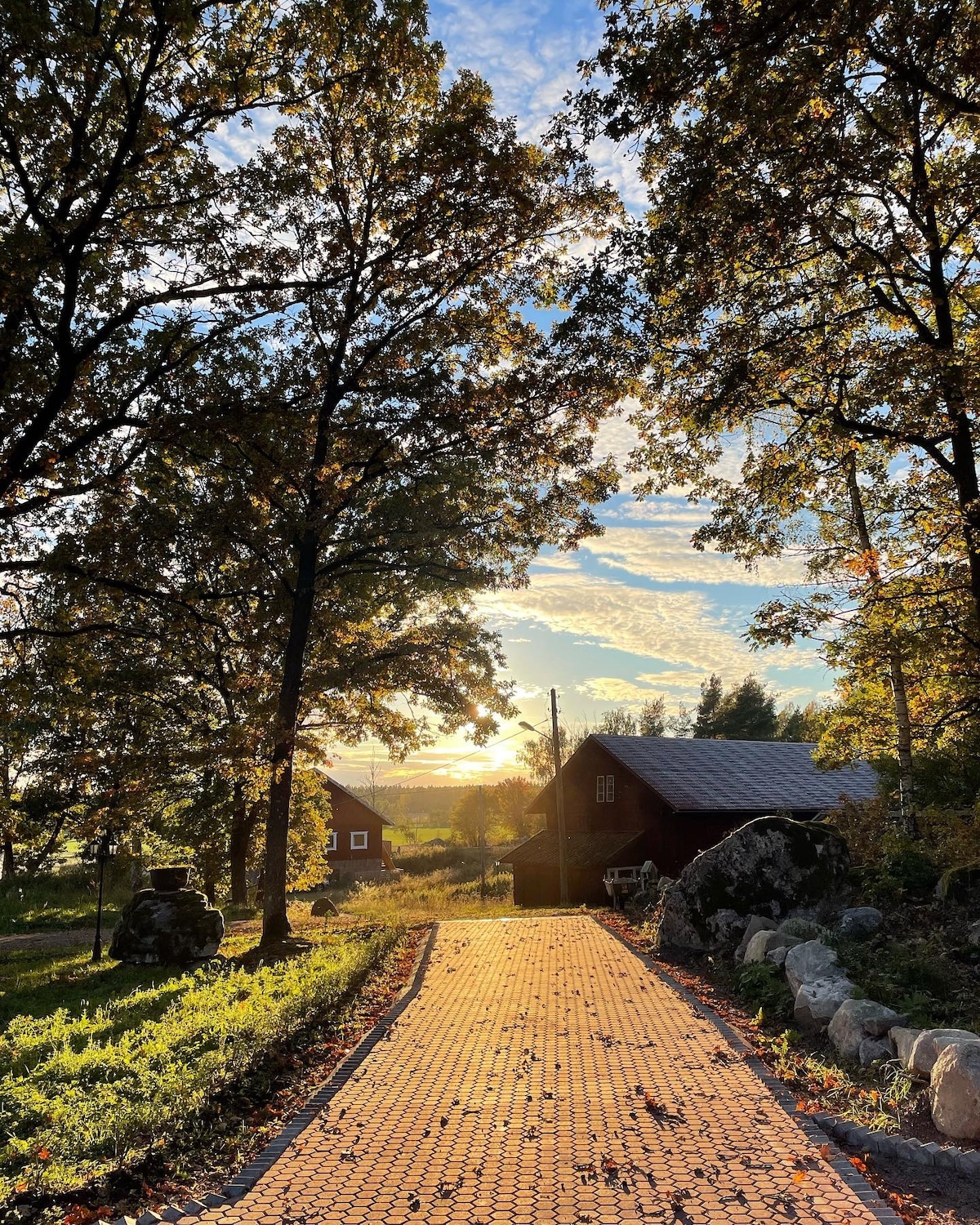 A tranquil pathway is lined with autumn leaves, leading towards rustic red buildings. Sunlight filters through tall trees, casting a warm glow on the cobblestone path. The scene captures a serene countryside atmosphere, inviting guests to explore the natural surroundings.