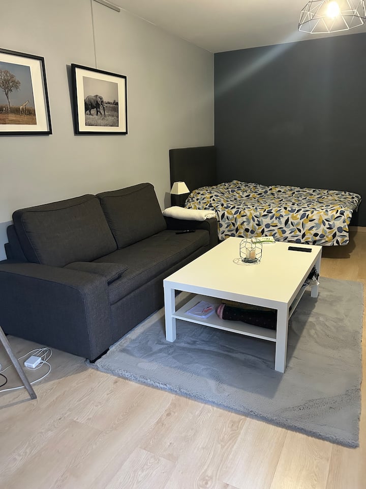 Studio hyper centre Annemasse Apartments for Rent in Annemasse