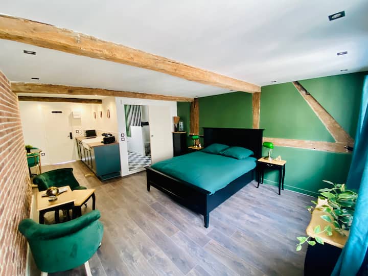 The Victor Hugo Apartments for Rent in Rouen, Normandie, France Airbnb