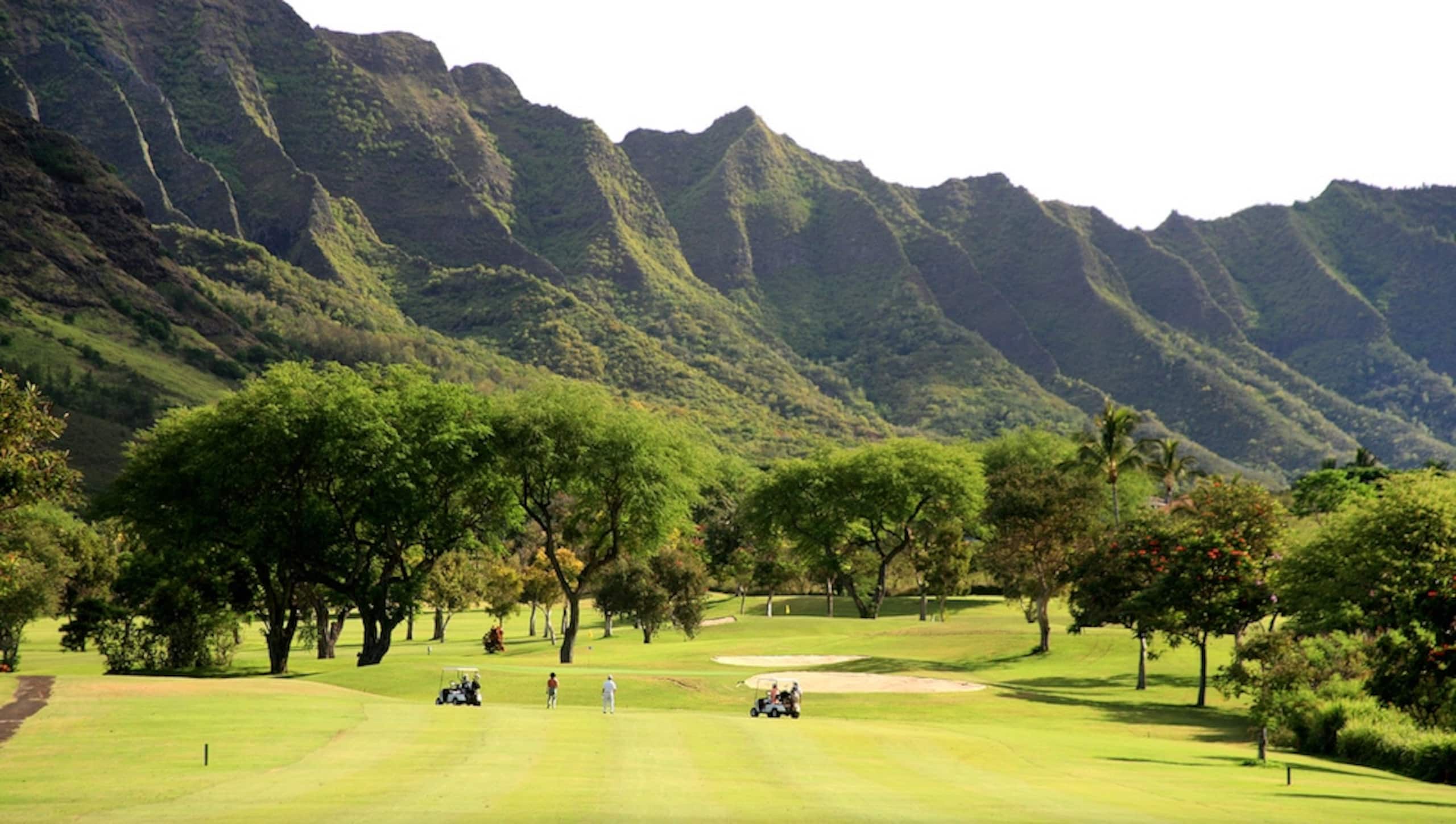 Home in Makaha Valley · ★4.98 · 4 bedrooms · 9 beds · 3.5 shared baths - Image 92