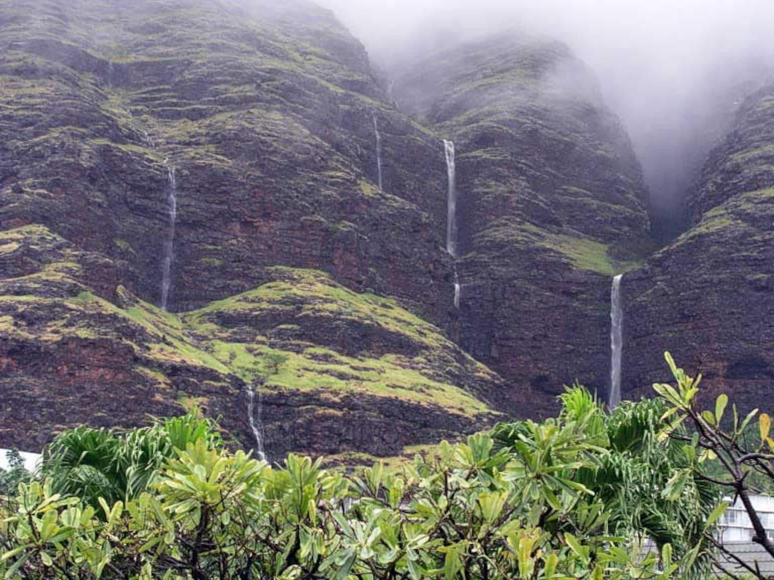 Home in Makaha Valley · ★4.98 · 4 bedrooms · 9 beds · 3.5 shared baths - Image 57