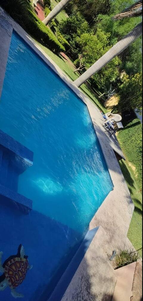 Beautiful estate with a cabin and a pool.