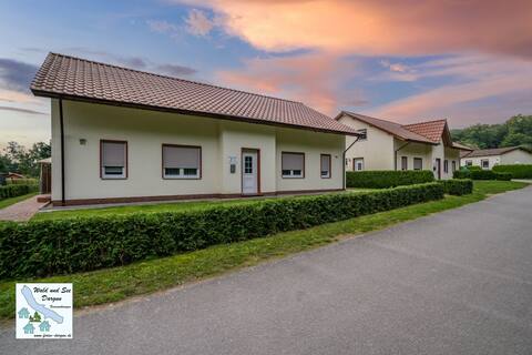 Forest and lake Dargun 31B