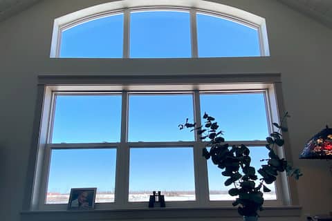 Successful Airbnb property: Luxury Stay - Waterview in North Shore
