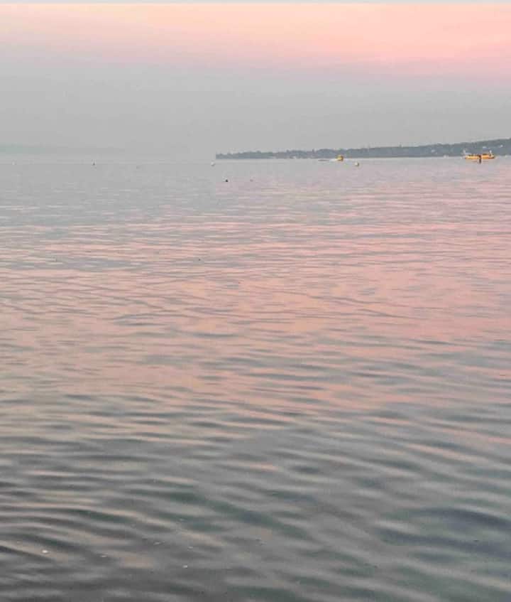 Apartment Paquis Apartments for Rent in Genève, Genève, Switzerland