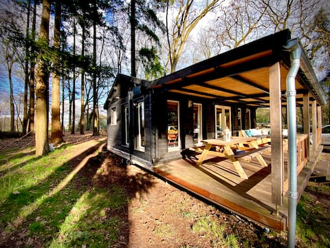Beautiful log cabin among the trees