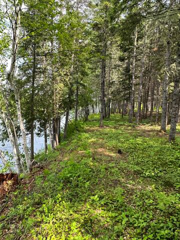 Ruffed Grouse Lodge Renous gallery image 5