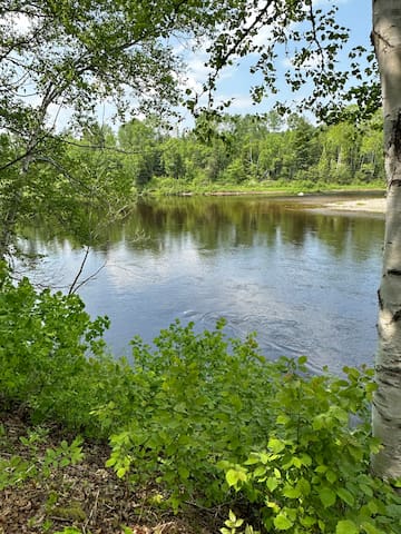 Ruffed Grouse Lodge Renous
