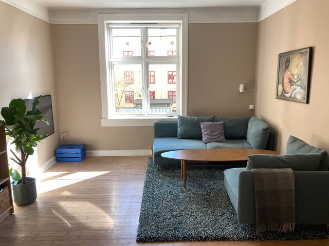 Stor nydelig leilighet på Sagene gallery image 4