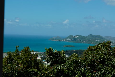 Caribbean Sea View 2 Beds 2 Bath