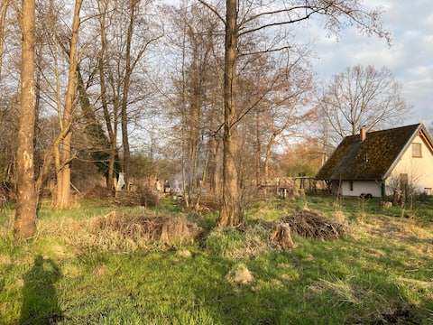 Top performing Airbnb: Spreewald house in nature in Lübbenau/Spreewald