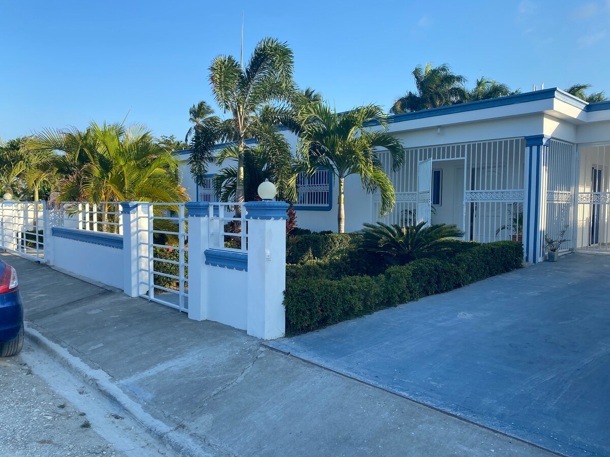 A single-story house is framed by lush palm trees and well-maintained shrubs. A white fence with blue accents surrounds the property, providing a sense of privacy. The driveway leads towards the entrance, with clear blue skies above and a well-manicured front yard.