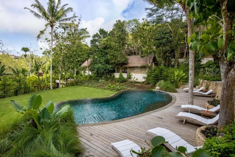 Best Scenery Jungle to Enjoyable Stay In Penida