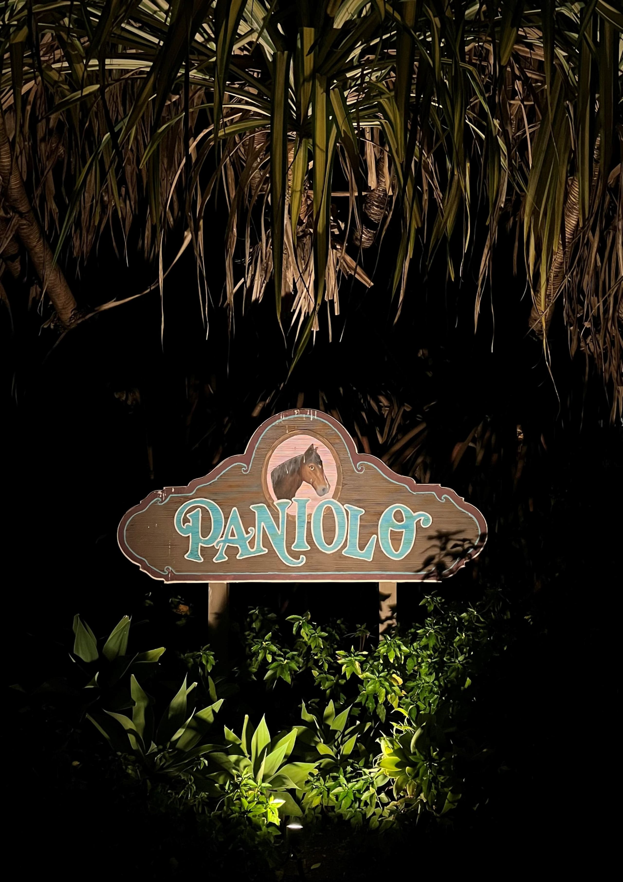 Bit-O-Paridise - Photo 27