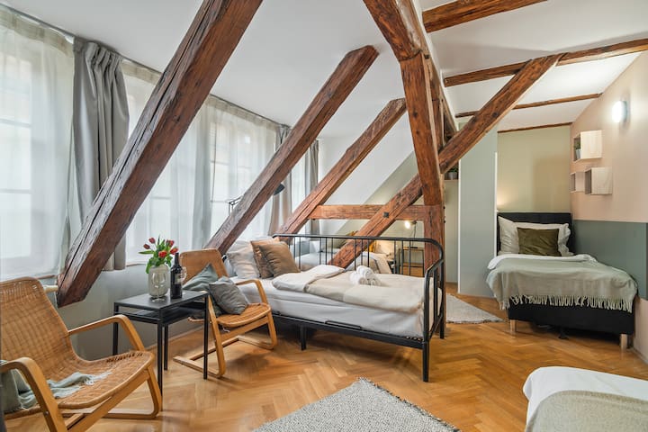 Charles Bridge Historical APT 3 by Michal&Friends