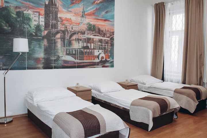 Spacious Studio In The City Centre 001 - Prag