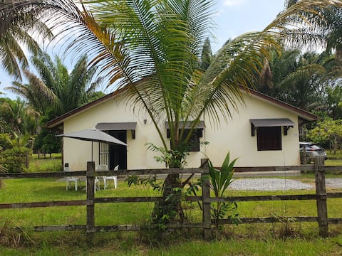 Apartment T2 + mezzanine