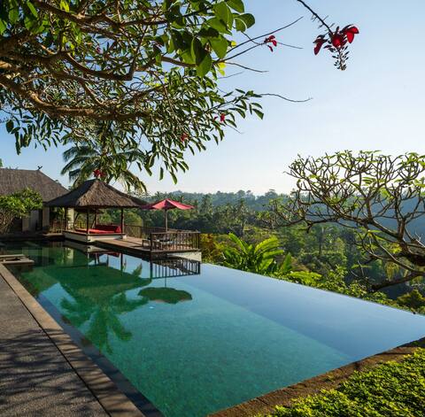 Luxurious Retreat in Nature