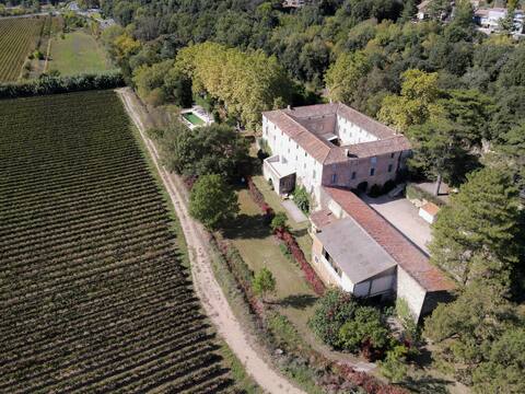 Grand Domaine face aux vignes avec piscine
