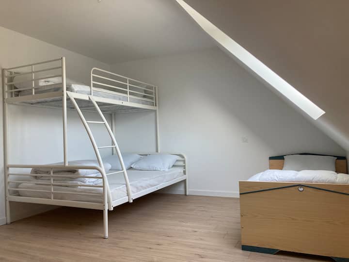 Habitación 1