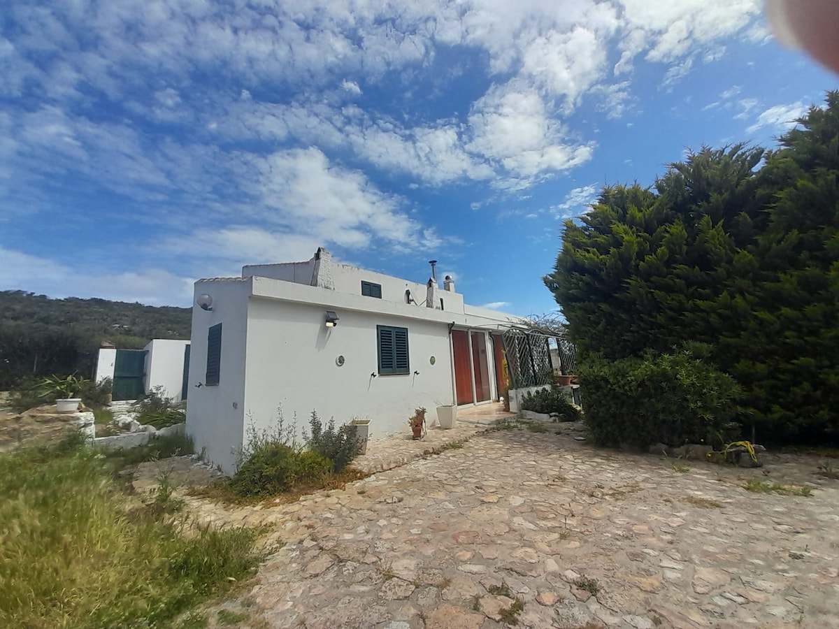 A quaint single-story house is set against a backdrop of clear blue skies and lush greenery. The structure features multiple windows with green shutters, and a stone pathway leads to the entrance, surrounded by low shrubs and decorative plants.