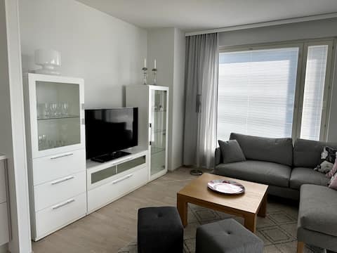 Successful Airbnb property: New one bedroom condo in Tampella